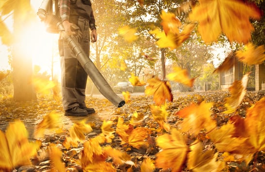 Leaf Blower